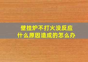 壁挂炉不打火没反应什么原因造成的怎么办