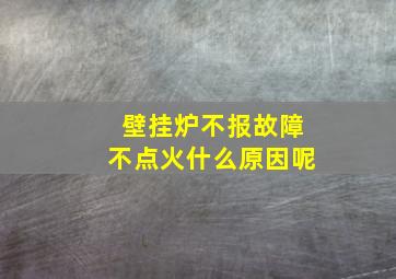 壁挂炉不报故障不点火什么原因呢