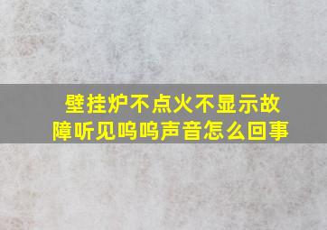 壁挂炉不点火不显示故障听见呜呜声音怎么回事