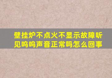 壁挂炉不点火不显示故障听见呜呜声音正常吗怎么回事