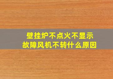 壁挂炉不点火不显示故障风机不转什么原因