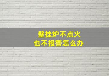 壁挂炉不点火也不报警怎么办