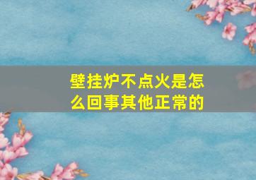 壁挂炉不点火是怎么回事其他正常的