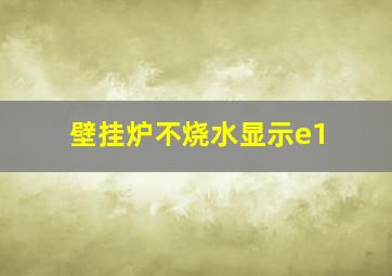 壁挂炉不烧水显示e1