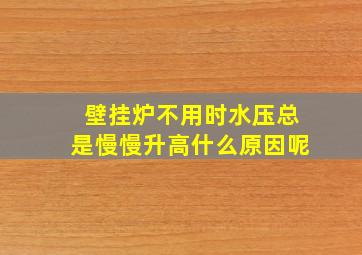 壁挂炉不用时水压总是慢慢升高什么原因呢