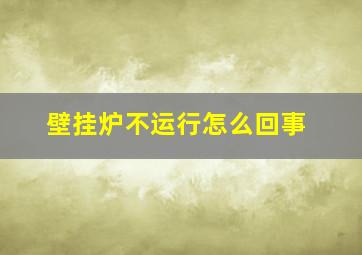 壁挂炉不运行怎么回事