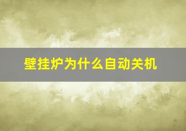 壁挂炉为什么自动关机