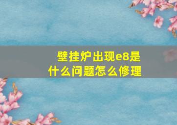 壁挂炉出现e8是什么问题怎么修理