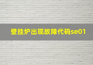 壁挂炉出现故障代码se01