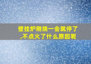 壁挂炉刚烧一会就停了,不点火了什么原因呢