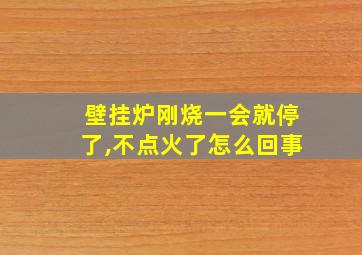 壁挂炉刚烧一会就停了,不点火了怎么回事