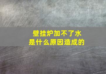 壁挂炉加不了水是什么原因造成的