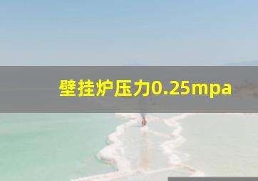 壁挂炉压力0.25mpa