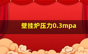 壁挂炉压力0.3mpa