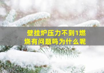 壁挂炉压力不到1燃烧有问题吗为什么呢