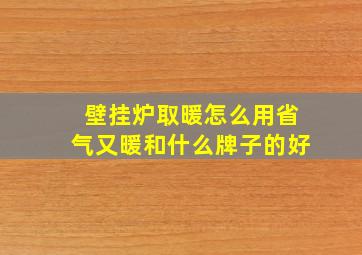 壁挂炉取暖怎么用省气又暖和什么牌子的好