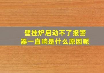 壁挂炉启动不了报警器一直响是什么原因呢