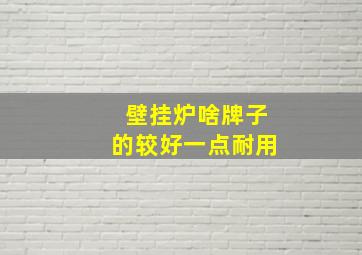 壁挂炉啥牌子的较好一点耐用