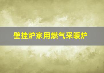 壁挂炉家用燃气采暖炉