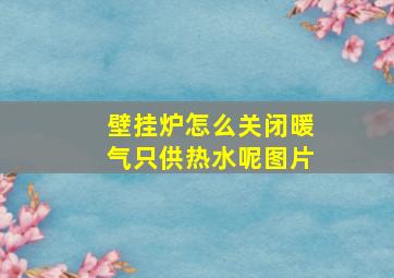 壁挂炉怎么关闭暖气只供热水呢图片