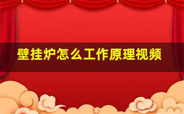 壁挂炉怎么工作原理视频