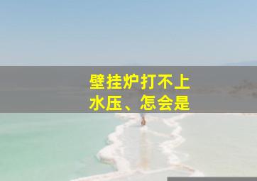 壁挂炉打不上水压、怎会是