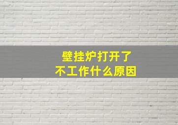 壁挂炉打开了不工作什么原因