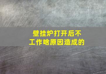 壁挂炉打开后不工作啥原因造成的