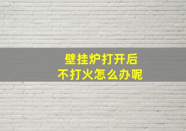 壁挂炉打开后不打火怎么办呢