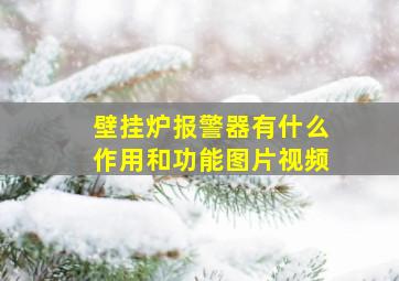 壁挂炉报警器有什么作用和功能图片视频