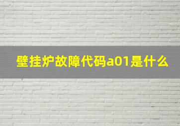 壁挂炉故障代码a01是什么