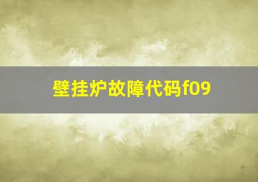 壁挂炉故障代码f09