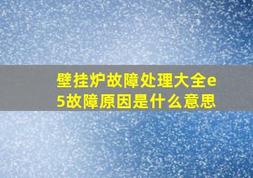 壁挂炉故障处理大全e5故障原因是什么意思