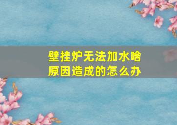 壁挂炉无法加水啥原因造成的怎么办