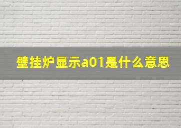 壁挂炉显示a01是什么意思