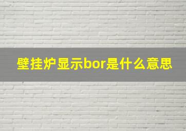 壁挂炉显示bor是什么意思