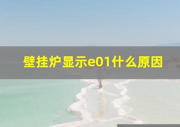 壁挂炉显示e01什么原因