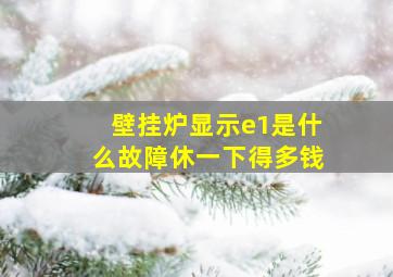 壁挂炉显示e1是什么故障休一下得多钱