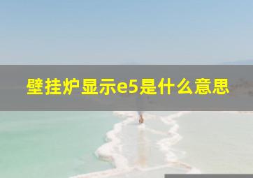 壁挂炉显示e5是什么意思