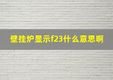 壁挂炉显示f23什么意思啊