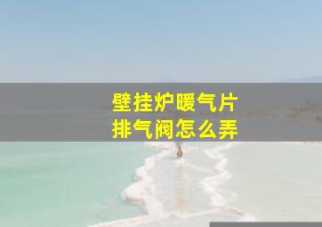 壁挂炉暖气片排气阀怎么弄