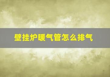 壁挂炉暖气管怎么排气