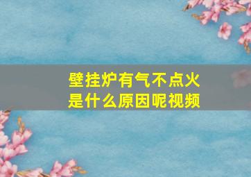 壁挂炉有气不点火是什么原因呢视频