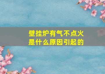 壁挂炉有气不点火是什么原因引起的