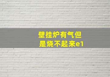 壁挂炉有气但是烧不起来e1