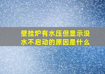 壁挂炉有水压但显示没水不启动的原因是什么