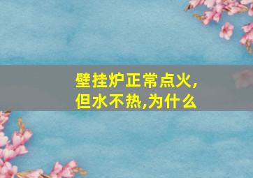 壁挂炉正常点火,但水不热,为什么