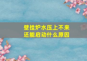 壁挂炉水压上不来还能启动什么原因