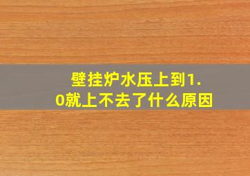 壁挂炉水压上到1.0就上不去了什么原因