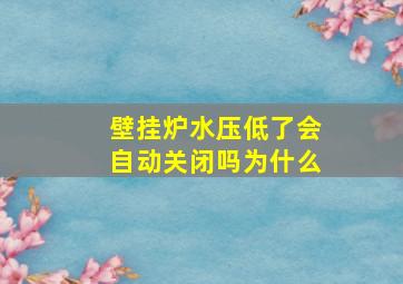 壁挂炉水压低了会自动关闭吗为什么